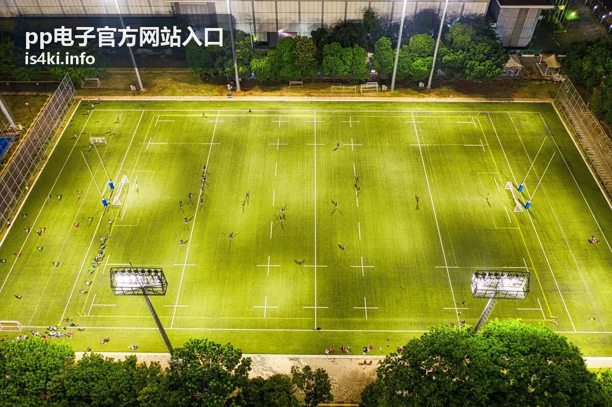 pp电子官方网站入口 用户指南FAQ配图